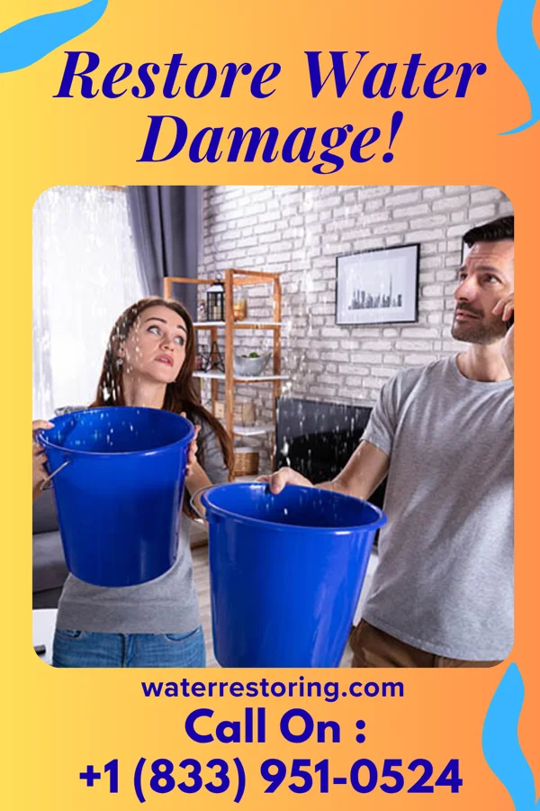 water restoration Advanced Water Removal Inc Trenton